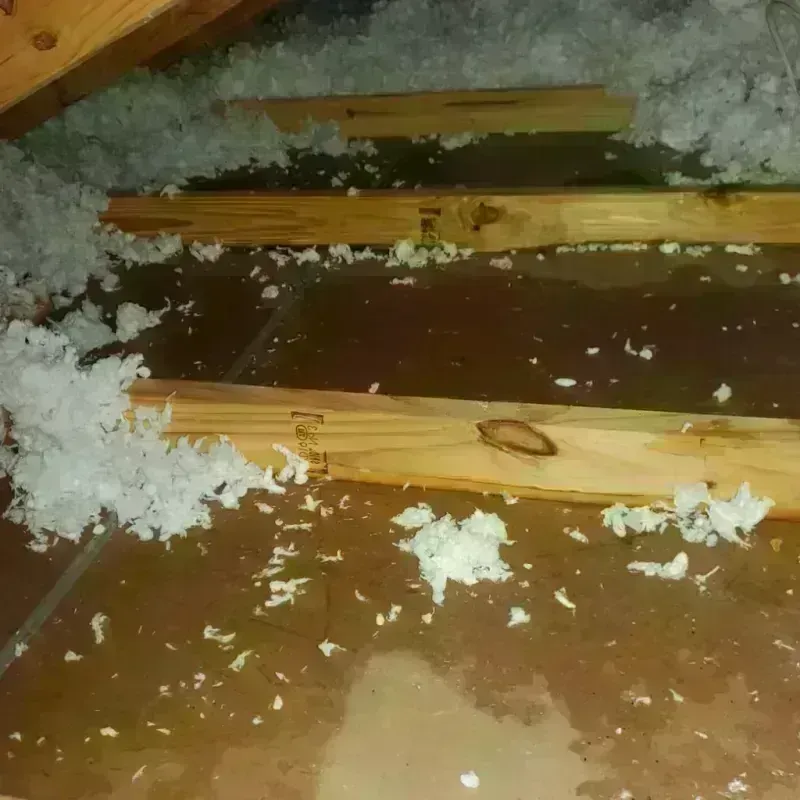 Attic Water Damage in Worthington, KY